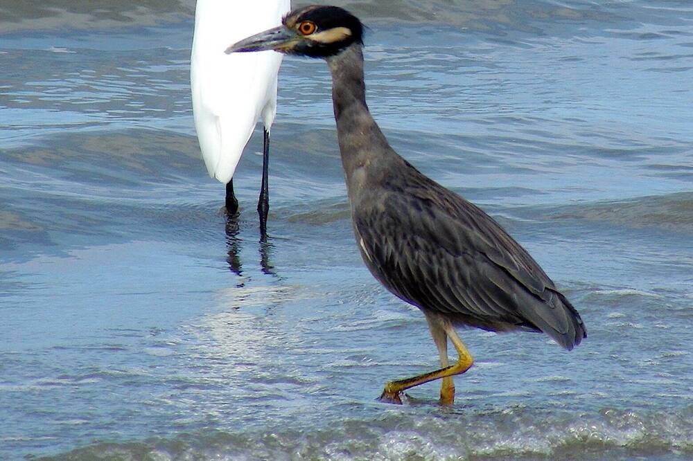 Photo of Others in Puerto Barrios
