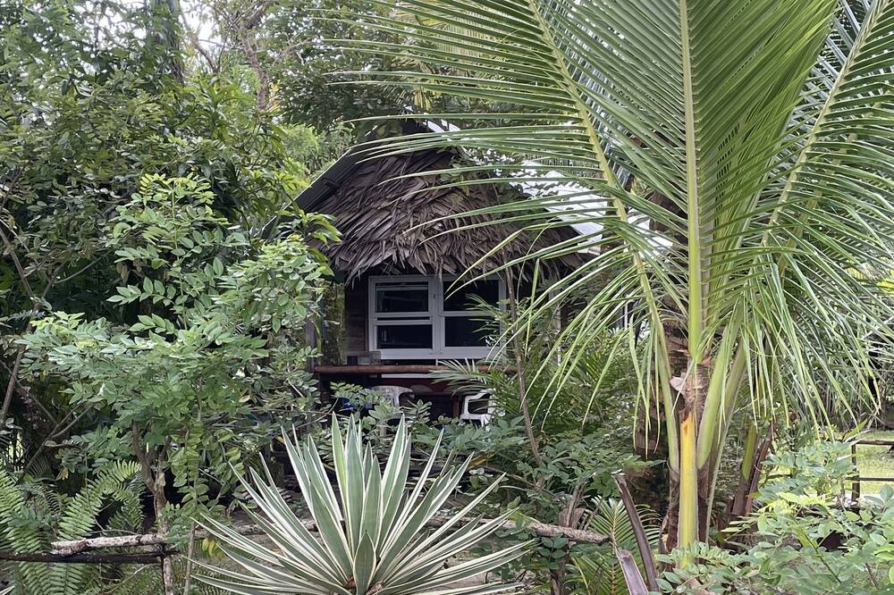 Photo of Outdoor in Puerto Barrios