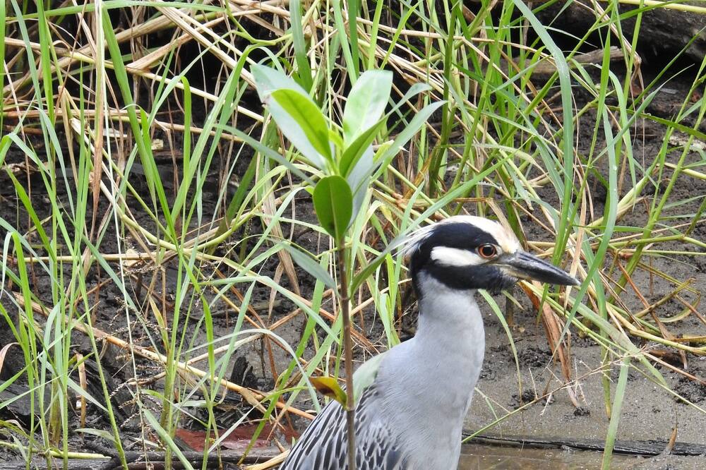 Photo of Outdoor in Puerto Barrios