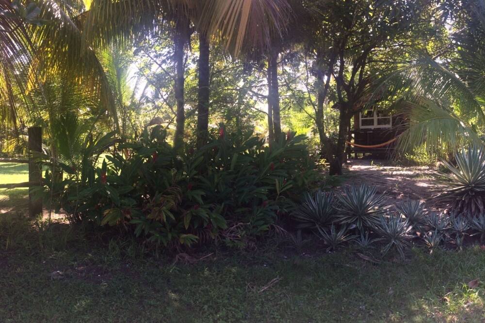 Photo of Outdoor in Puerto Barrios