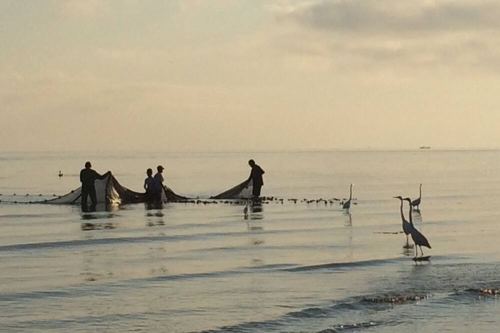 Photo of Others in Puerto Barrios