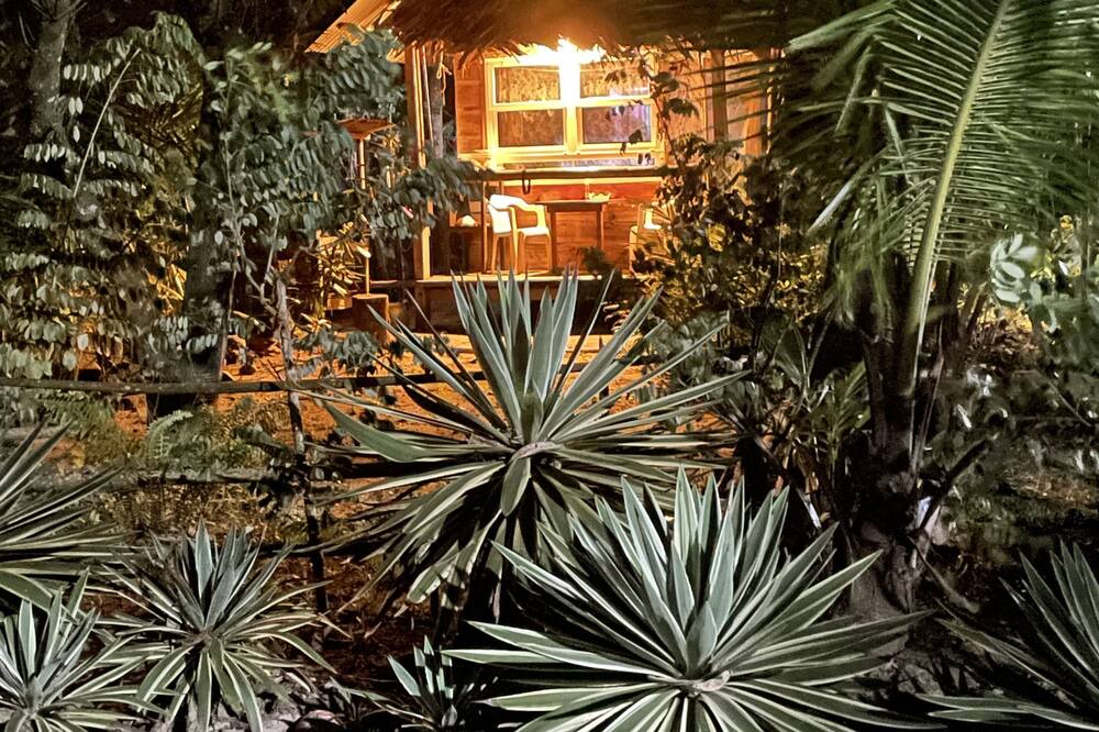 Photo of Outdoor in Puerto Barrios