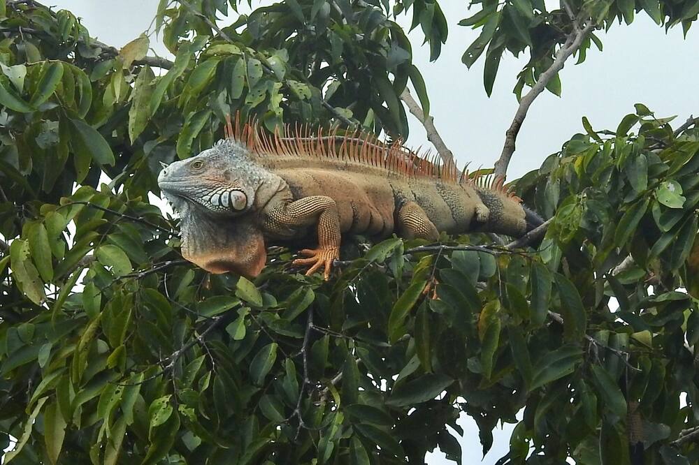 Photo of Outdoor in Puerto Barrios