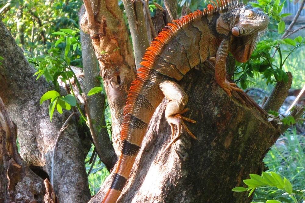 Photo of Outdoor in Puerto Barrios