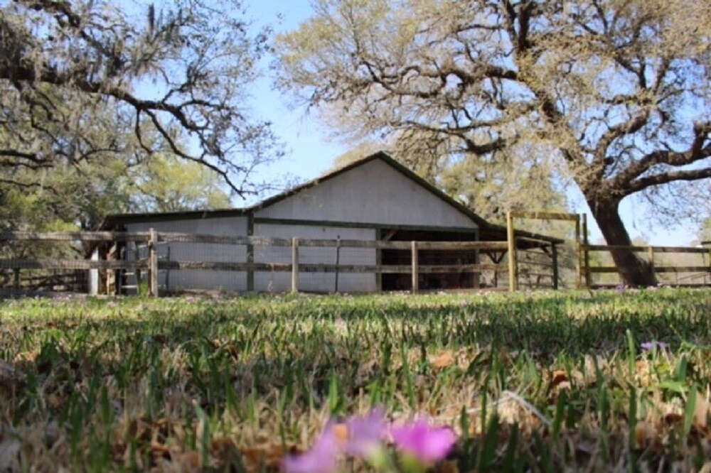 Photo of Others in Sweeny