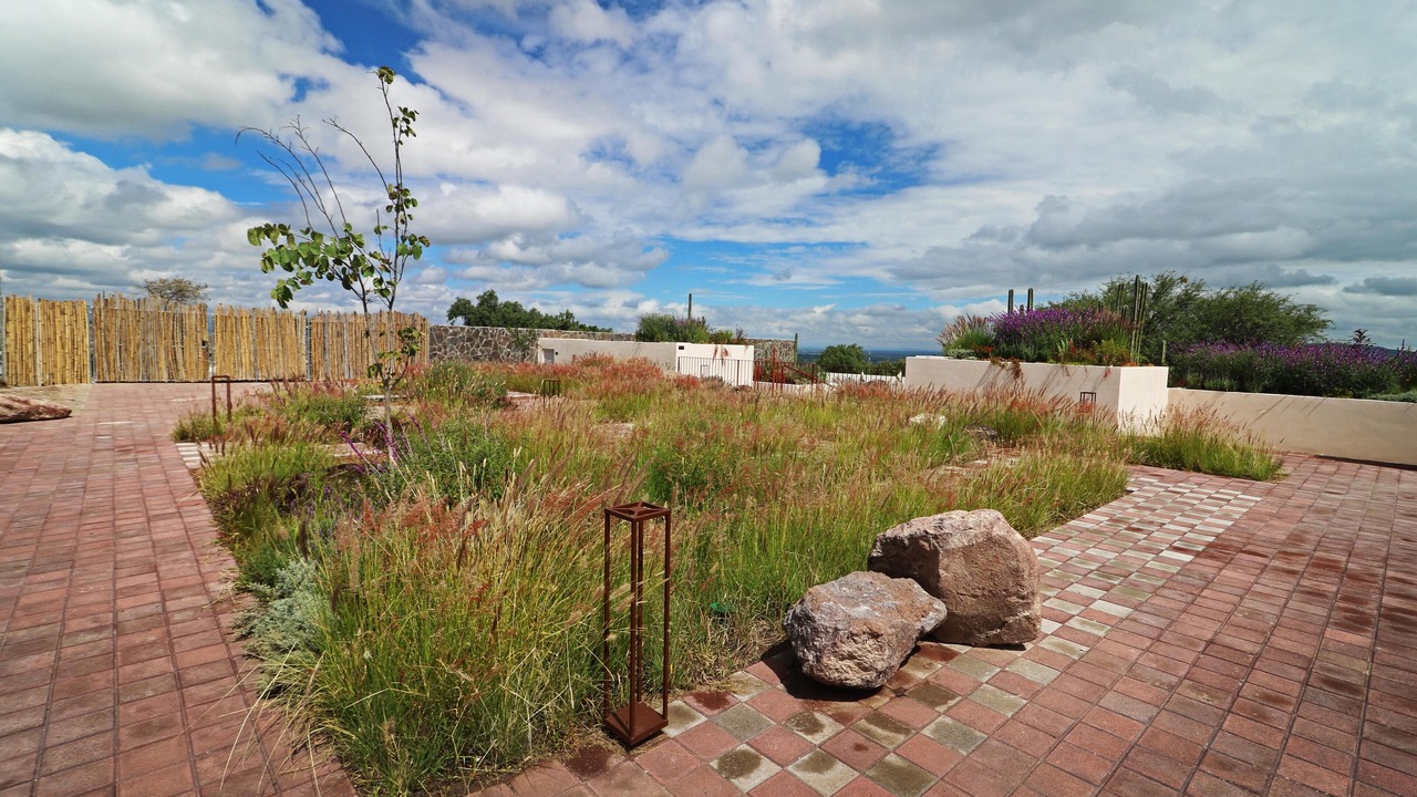 Photo of Outdoor in San Miguel de Allende