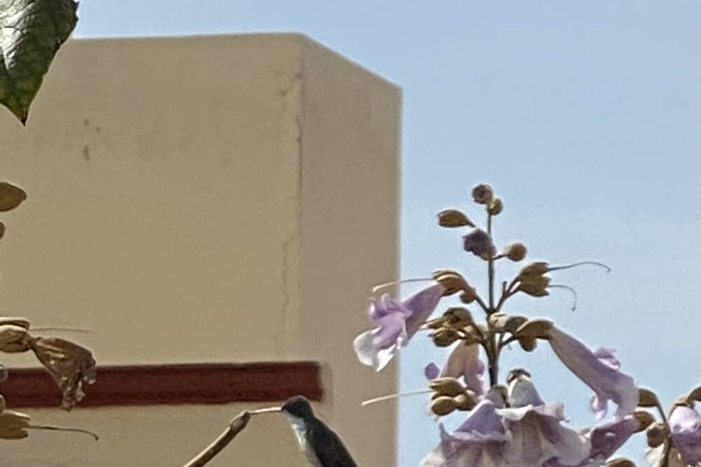 Photo of Others in El Pueblito