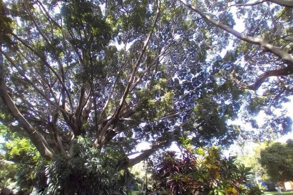 Photo of Outdoor in Morelos