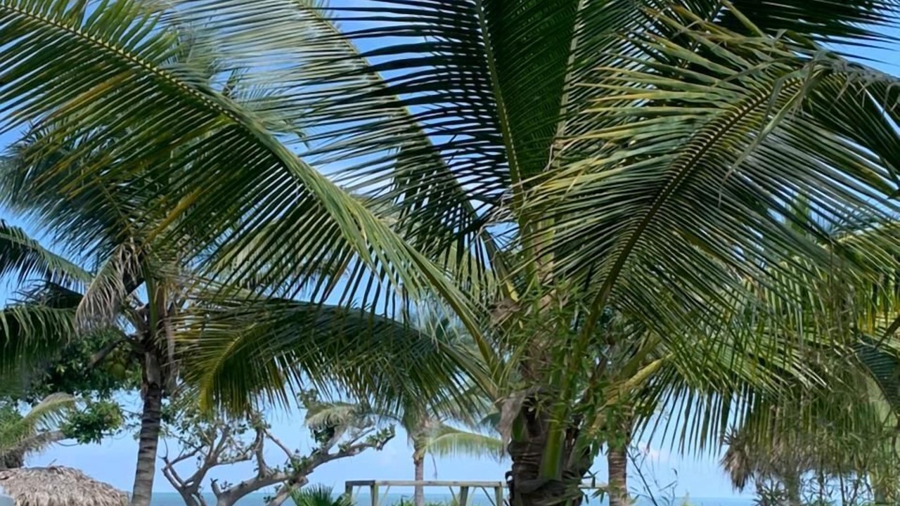 Photo of Outdoor in Tecolutla