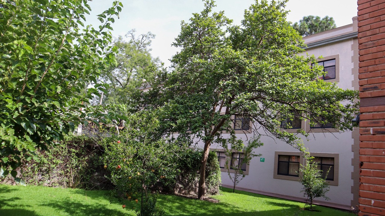 Photo of Outdoor in Tlalpan