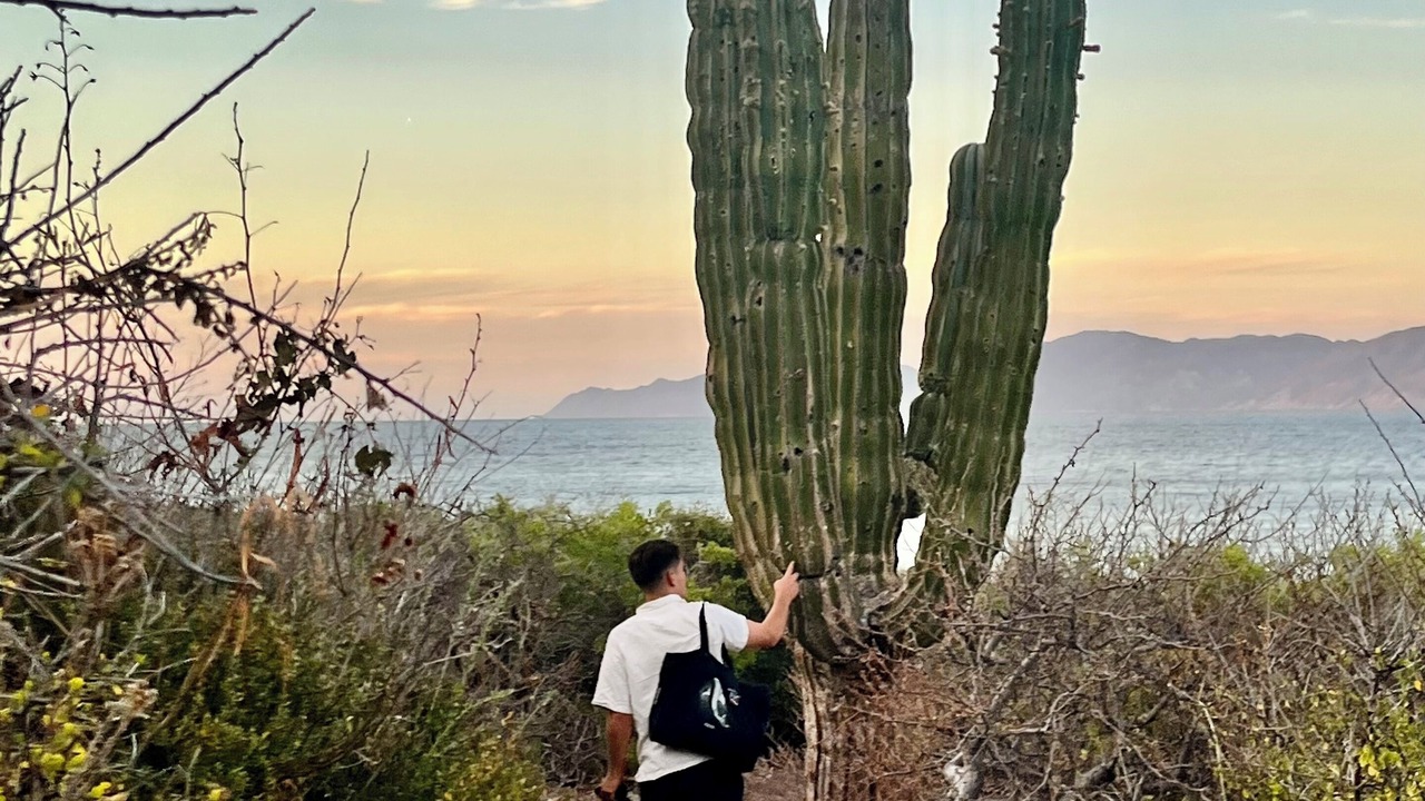 Photo of Outdoor in La Ventana