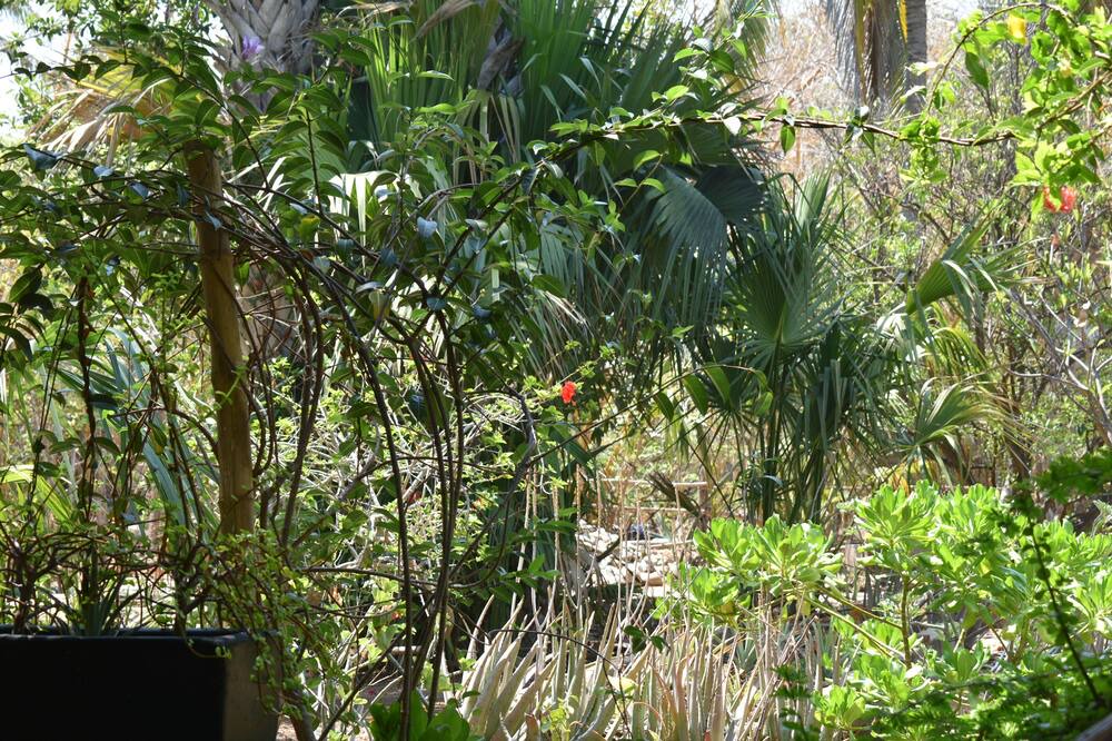Photo of Outdoor in Mazunte