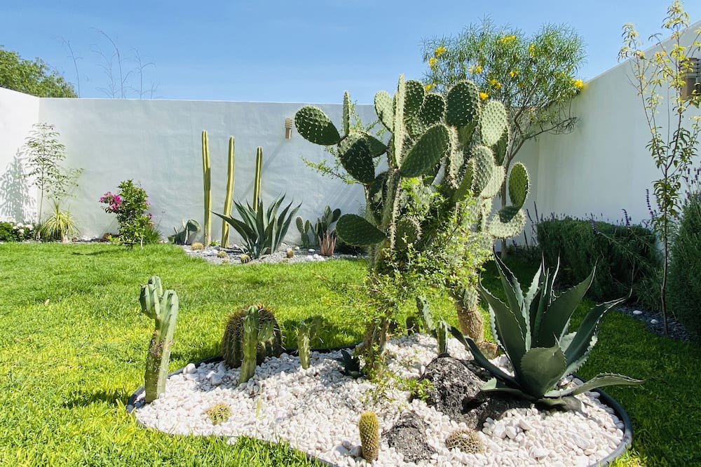 Photo of Outdoor in Queretaro