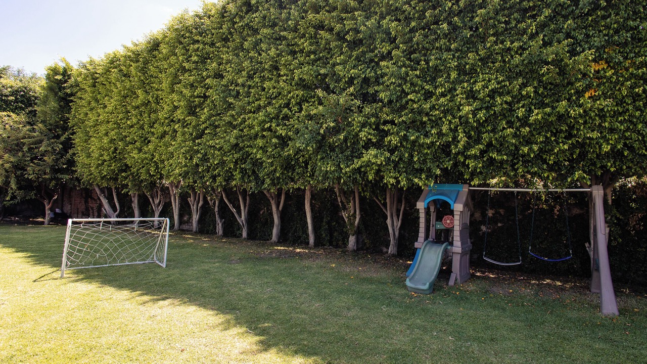 Photo of Outdoor in Zapopan