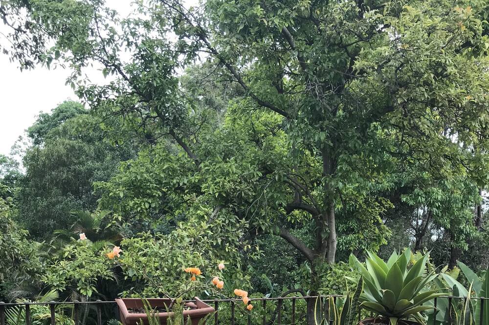 Photo of Patio Balcony in Antigua Guatemala