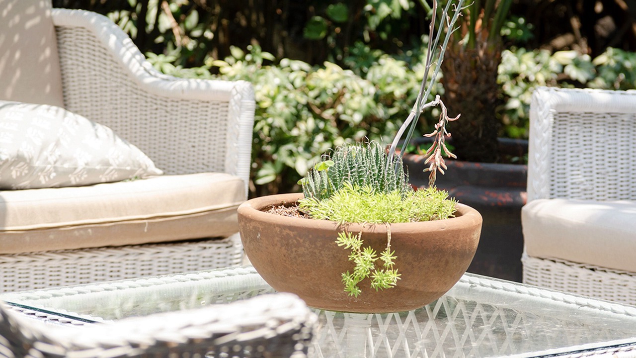 Photo of Outdoor in Cuernavaca
