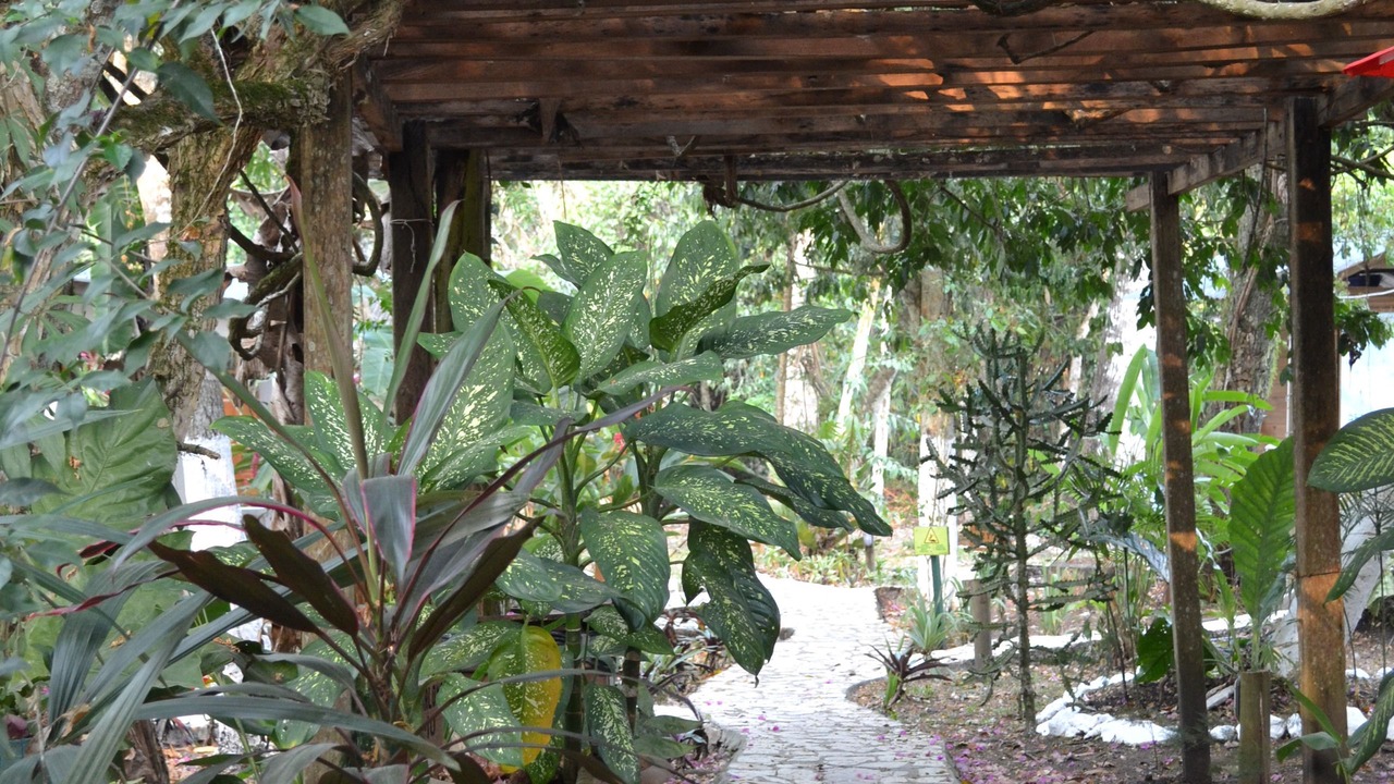 Photo of Others in Tikal National Park