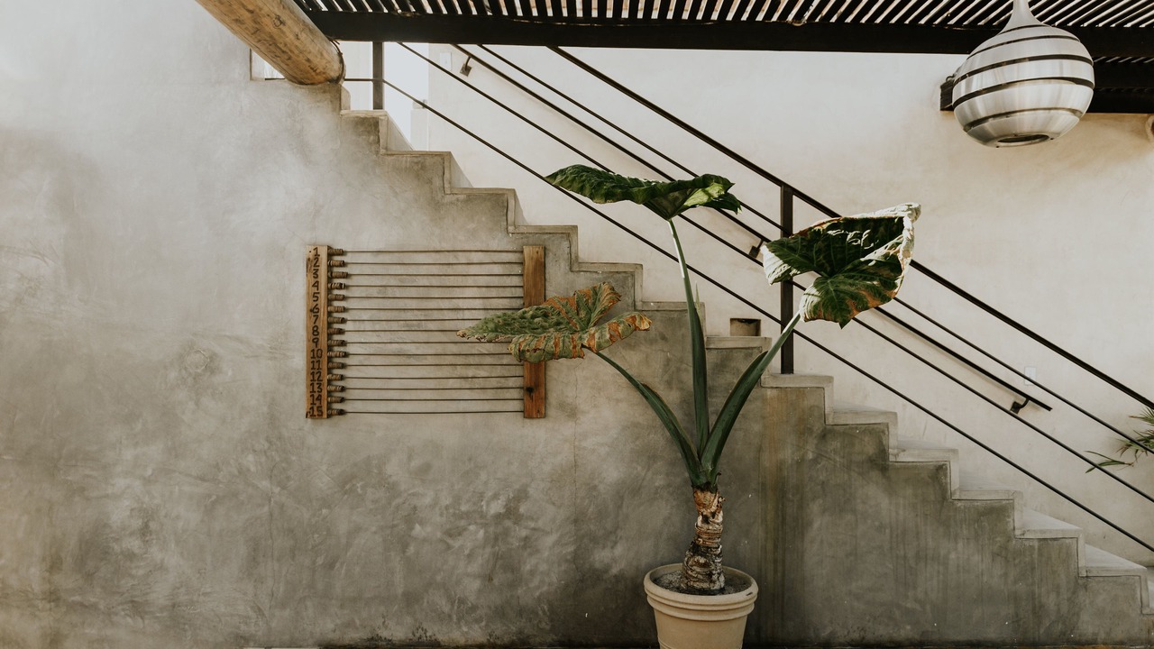 Photo of Others in Todos Santos