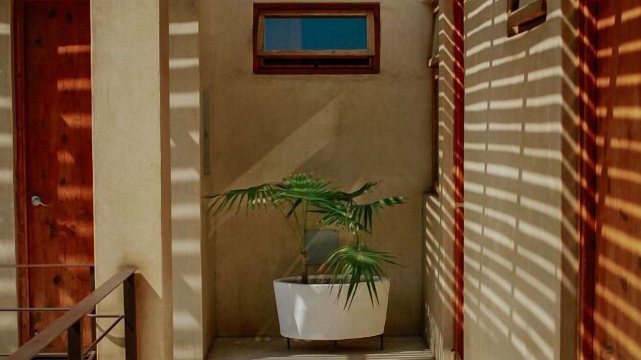 Photo of Others in Todos Santos