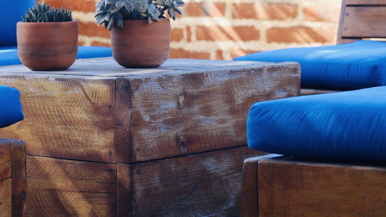 Photo of Outdoor in Todos Santos