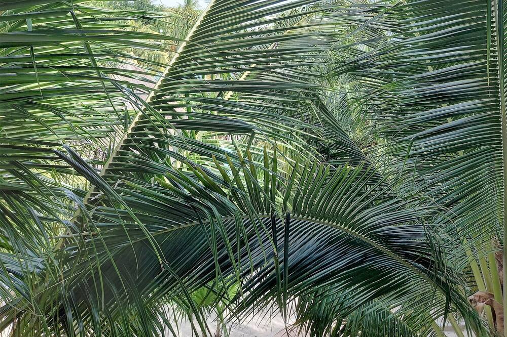 Photo of Outdoor in Merida