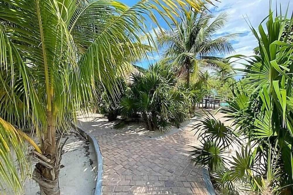 Photo of Outdoor in Merida