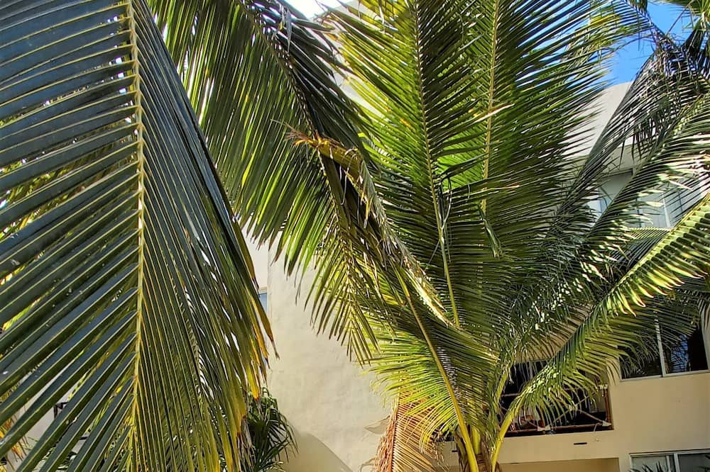 Photo of Outdoor in Merida