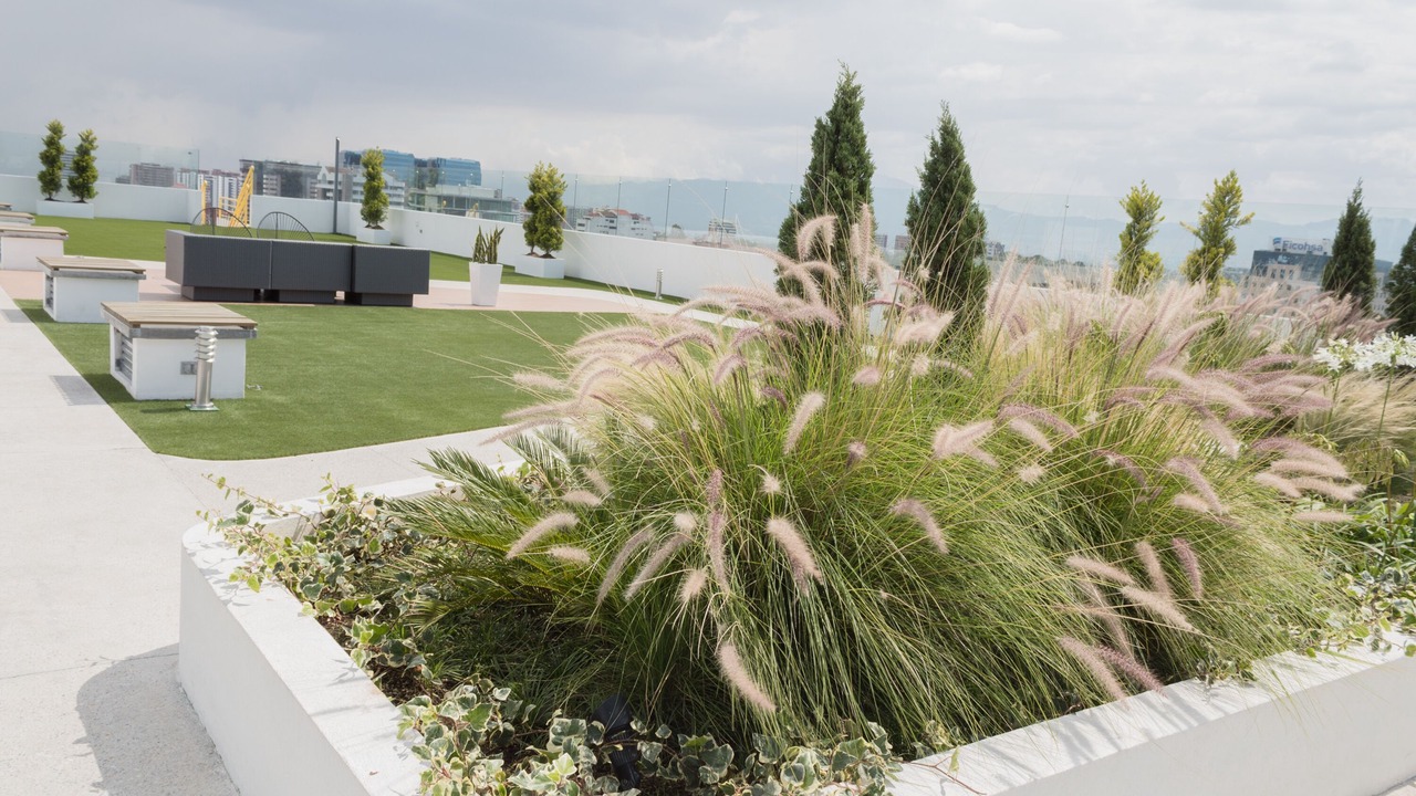 Photo of Outdoor in Zona 10