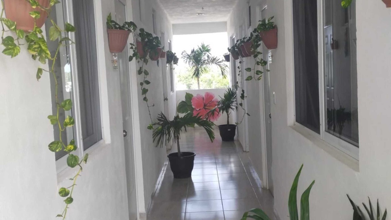 Photo of Others in Puerto Morelos