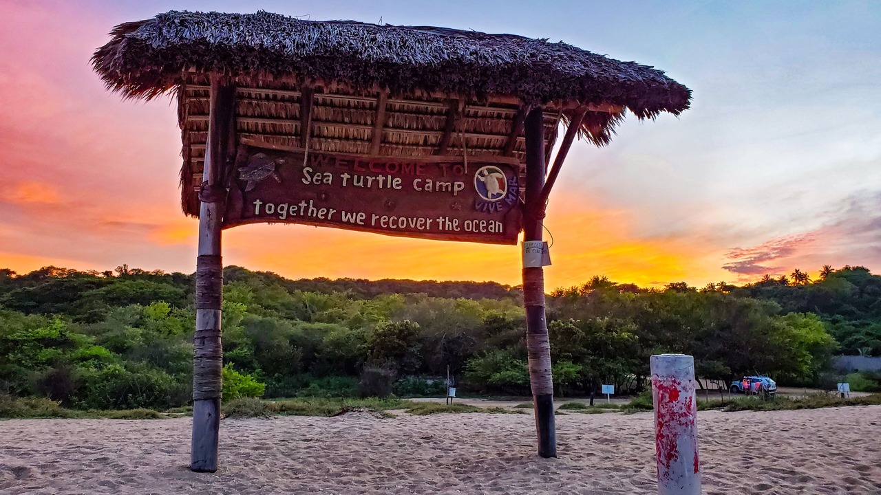 Photo of Others in Puerto Escondido