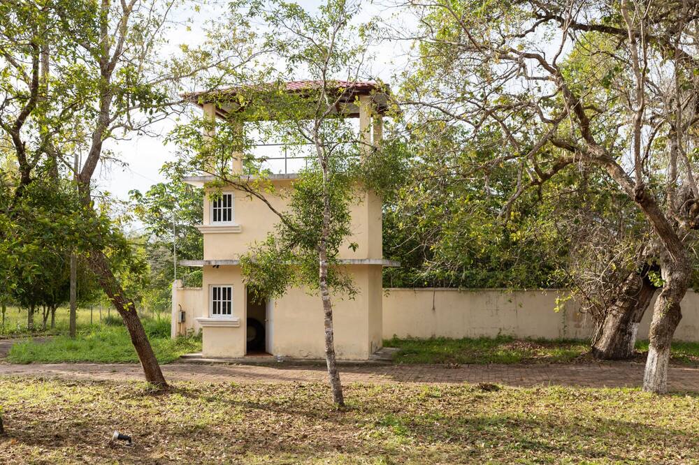 Photo of Outdoor in Peten