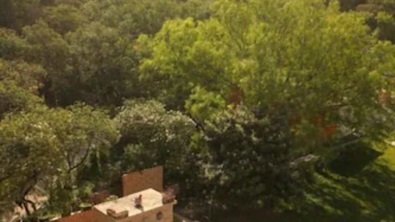 Photo of Outdoor in Hidalgo