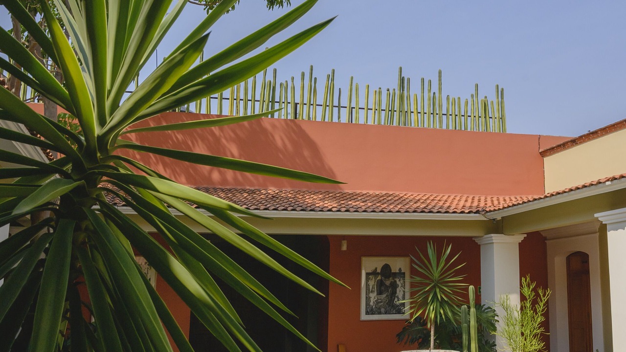 Photo of Outdoor in Centro