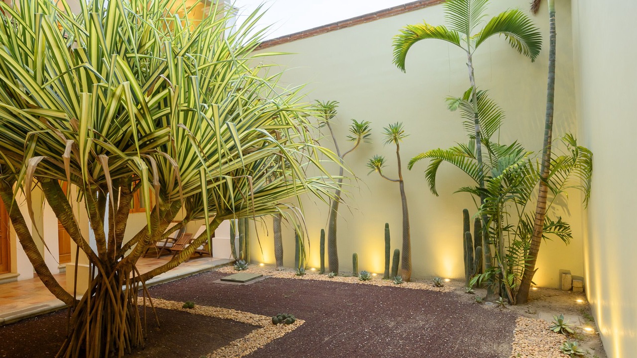 Photo of Outdoor in Centro