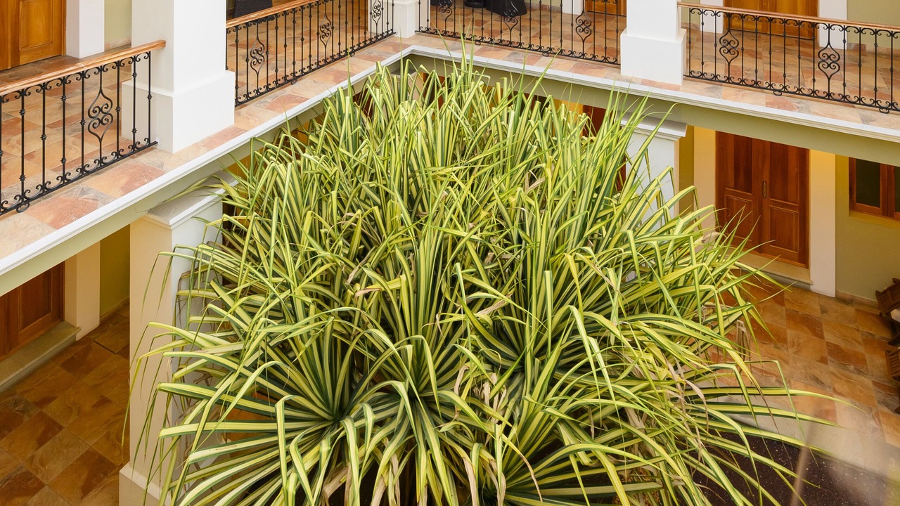 Photo of Outdoor in Centro