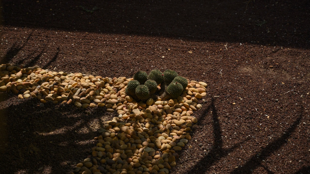 Photo of Outdoor in Centro