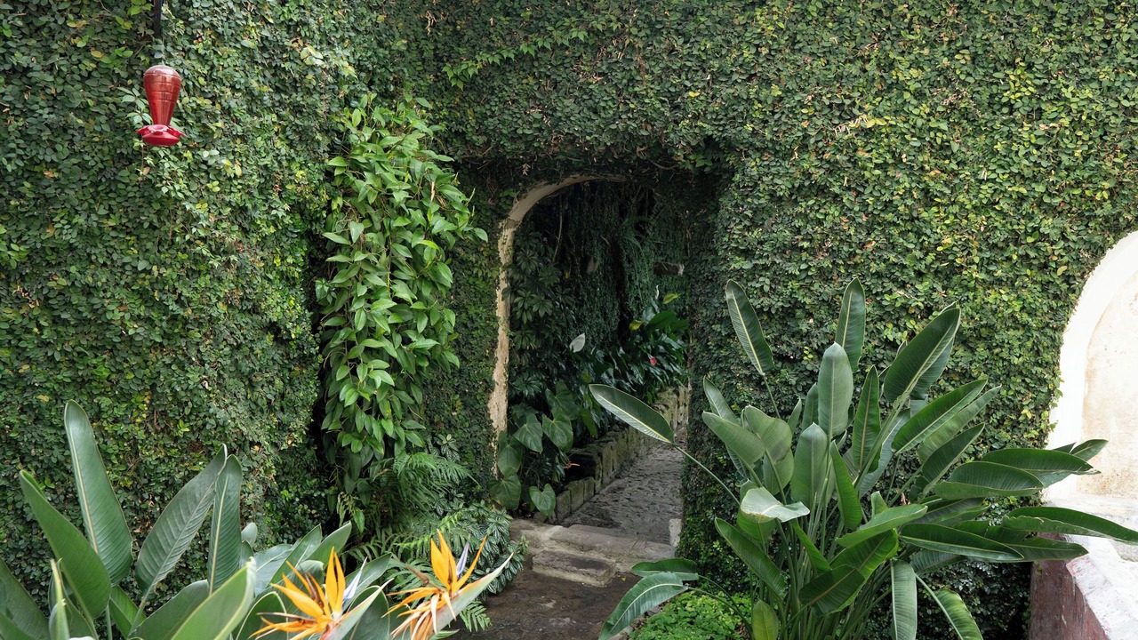 Photo of Outdoor in Antigua Guatemala