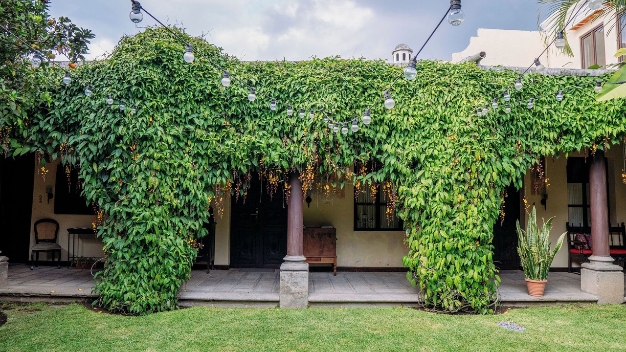 Photo of Outdoor in Antigua Guatemala