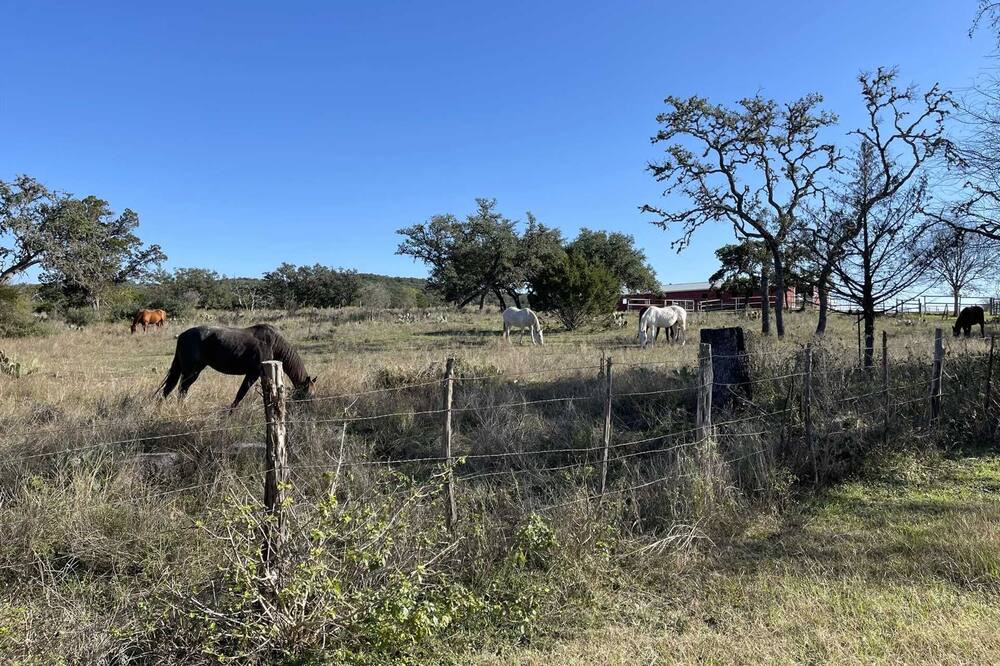 Photo of Others in Bandera
