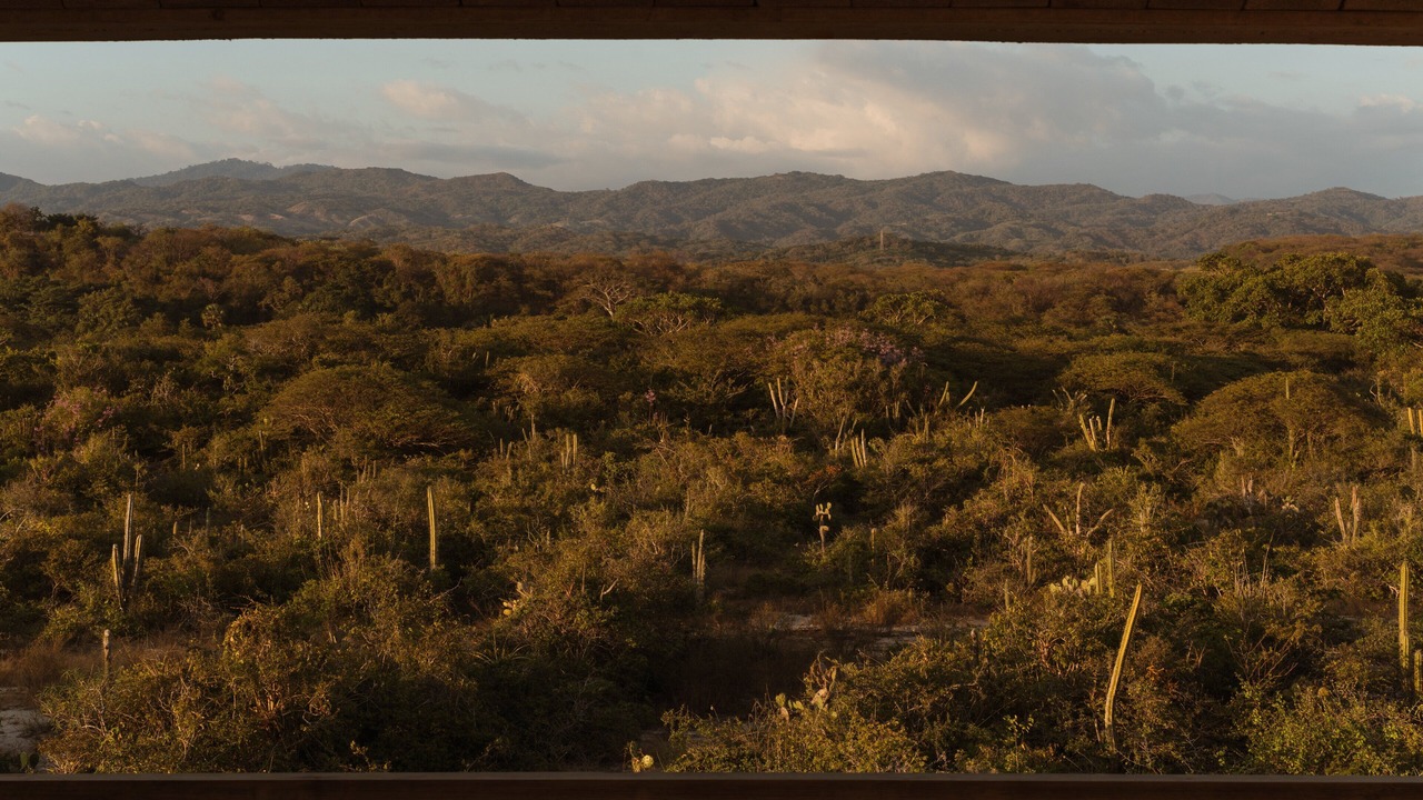 Photo of Outdoor in Puerto Escondido