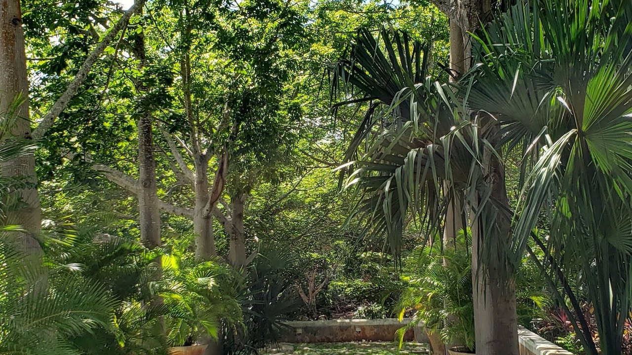 Photo of Outdoor in Conkal