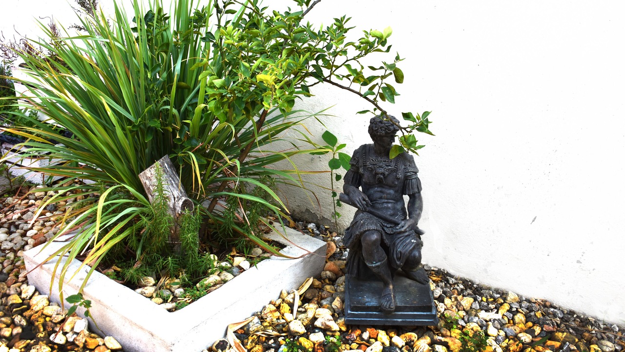 Photo of Outdoor in Cuernavaca