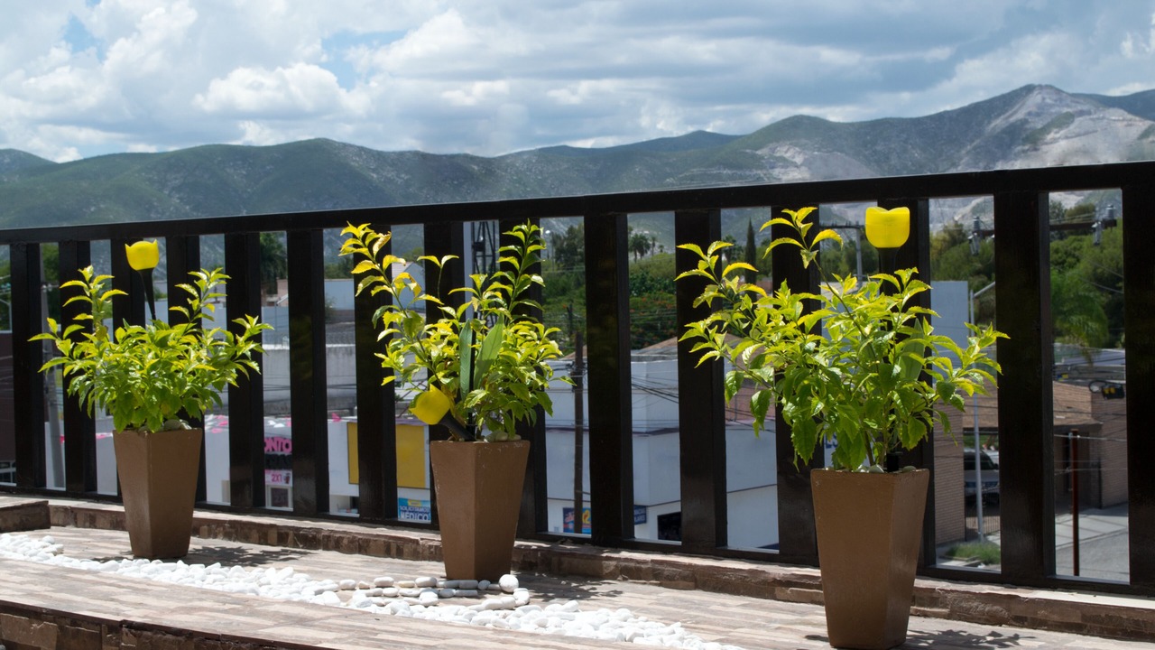 Photo of Patio Balcony in Torreon