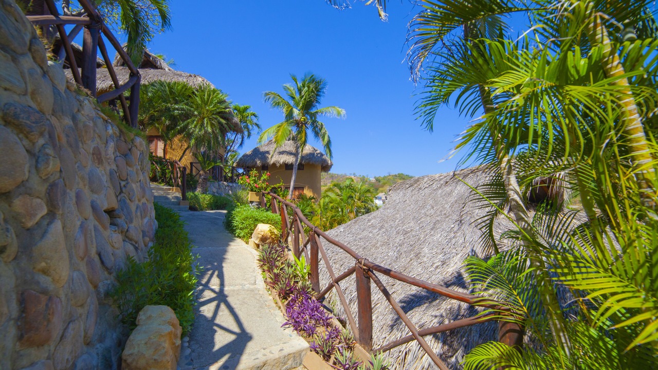 Photo of Outdoor in Puerto Angel