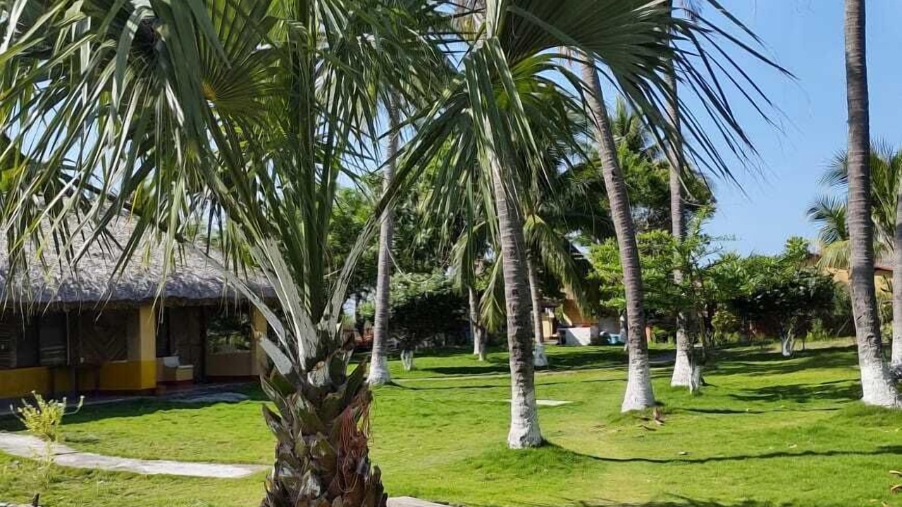 Photo of Outdoor in Las Lisas
