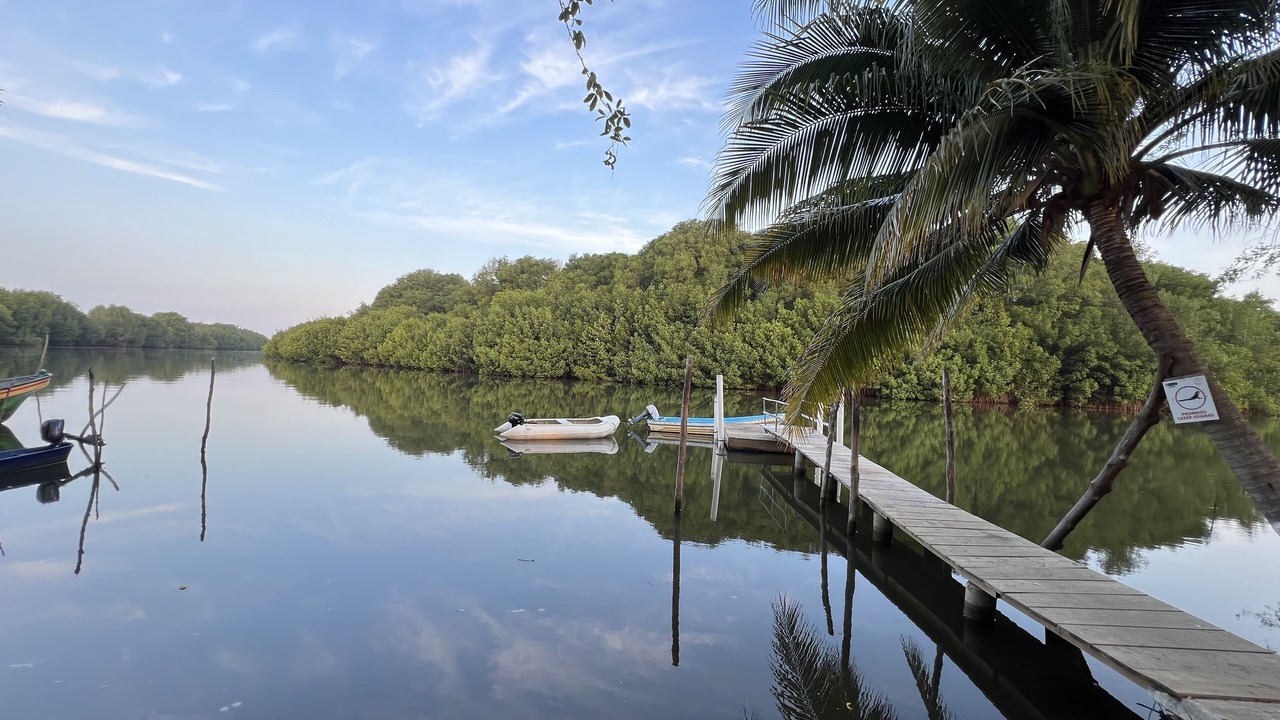 Photo of Outdoor in Las Lisas