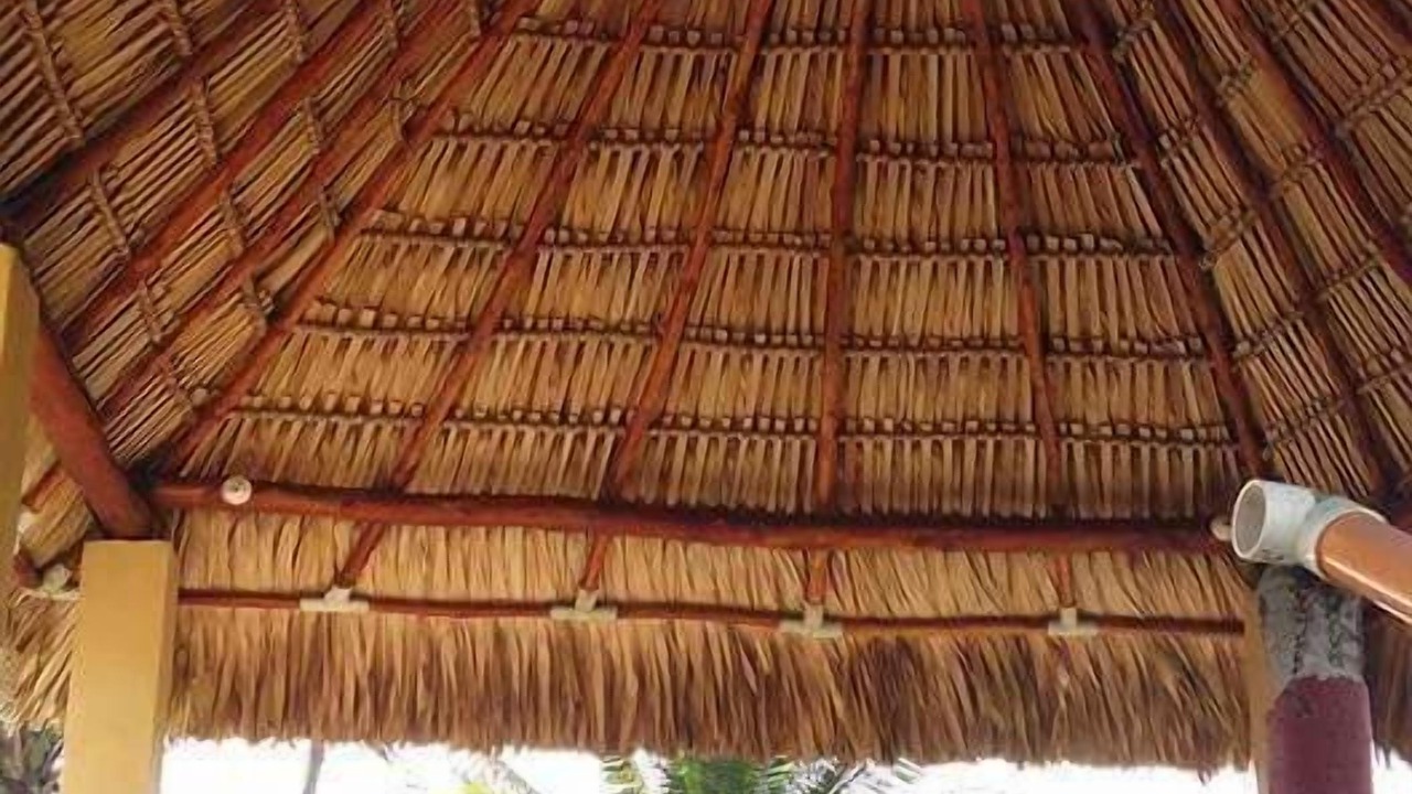 Photo of Livingroom in Las Lisas