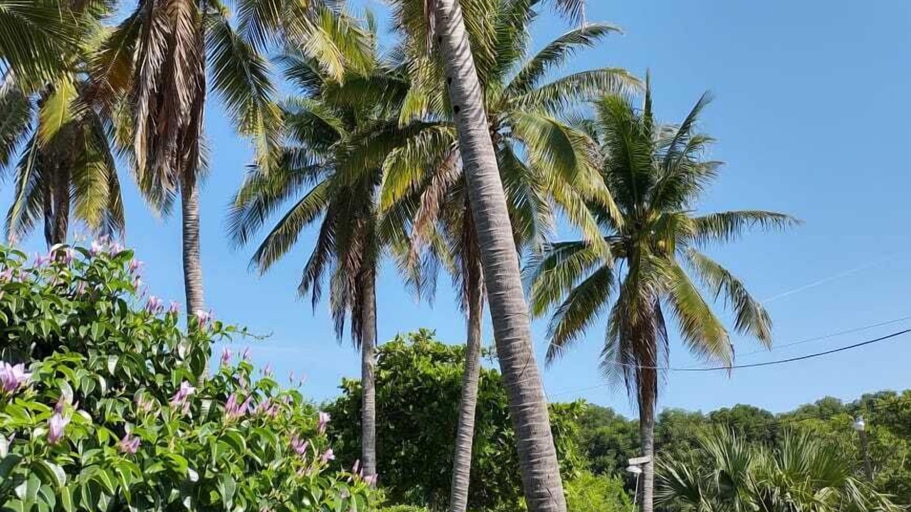 Photo of Outdoor in Las Lisas
