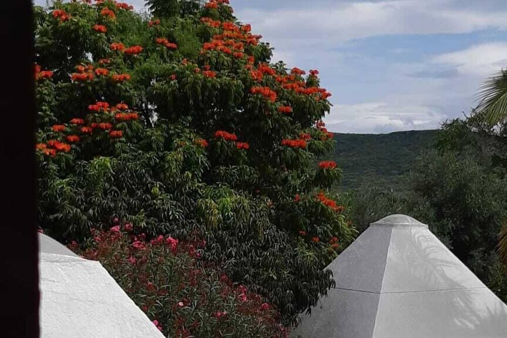 Photo of Bedroom in Tepeojuma