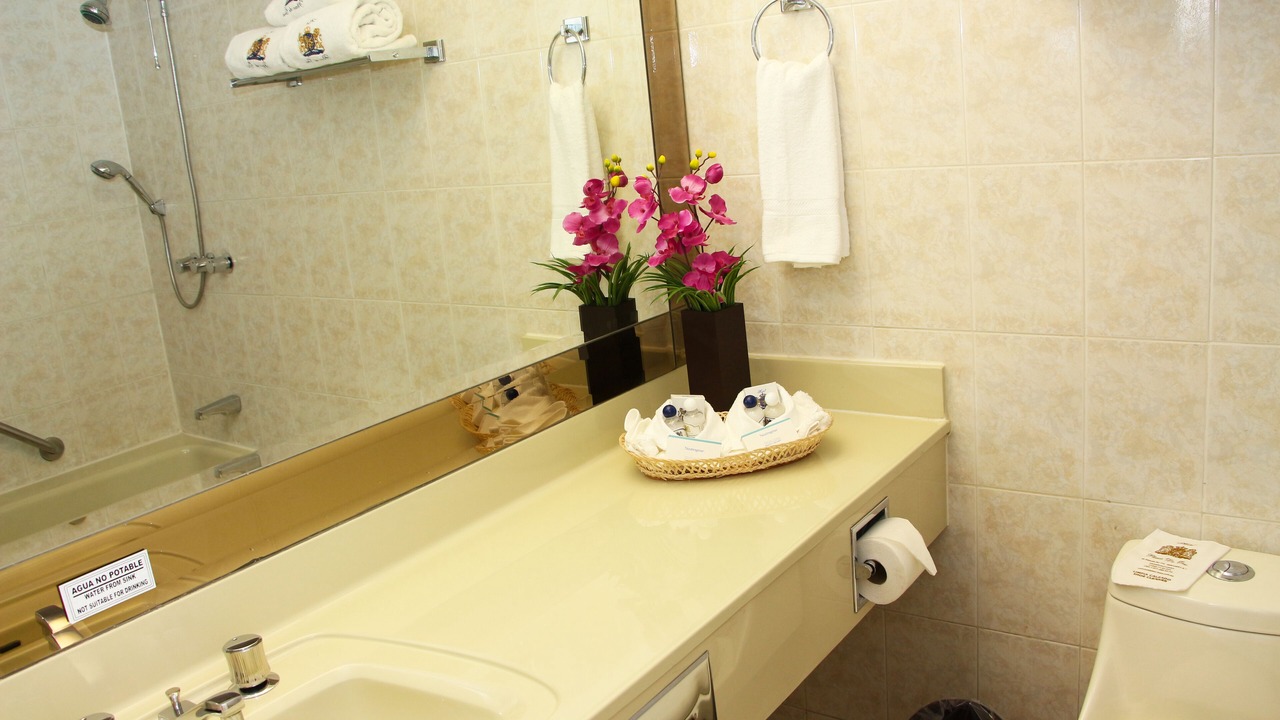 Photo of Bathroom in Monterrey Centro